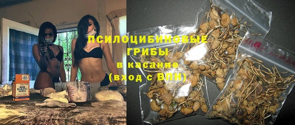 молекула духа Медвежьегорск