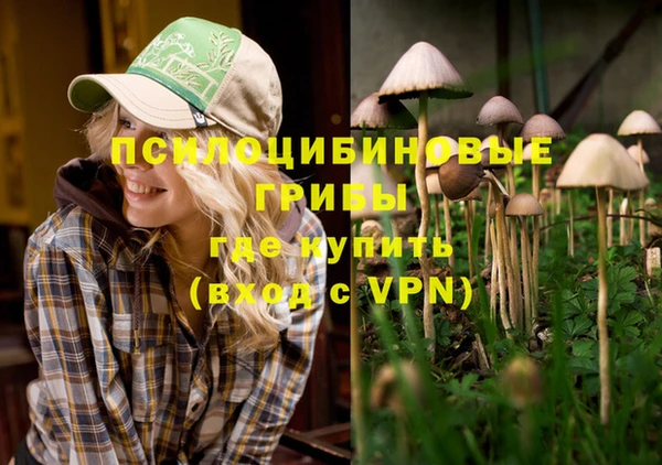 молекула духа Медвежьегорск