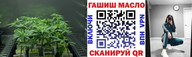 закладка  Отрадное  дарк нет официальный сайт  ТГК концентрат  ОМГ ОМГ маркетплейс 